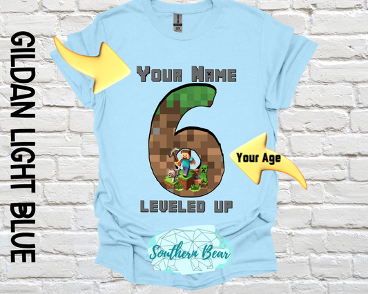 Mine Craft Birthday - Leveling up