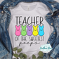 Teacher Designs
