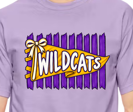 Wildcats Spirit